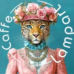 Caffe Lampart